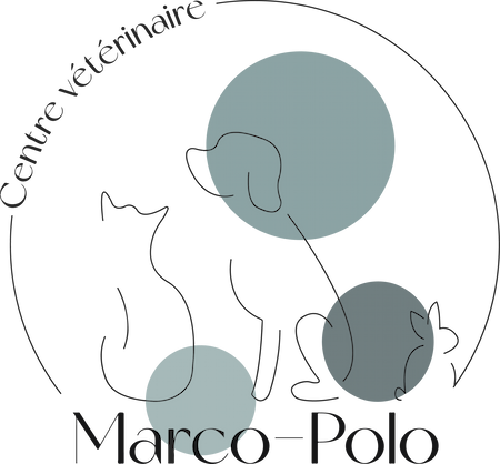 Logo Marco Polo, cabinet vétérinaire à Angleur