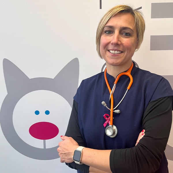 Bien-être chats & chiens
